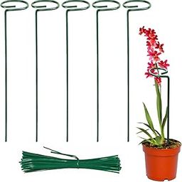 EXALT® 18 Inches Premium Plant Support Stakes, Sturdy Metal Construction for Strong and Healthy Plant Growth (Light Green - 5 pcs)-26