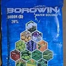 BOROWIN - Water Soluble Boron (B) 20%-picture-20