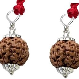 Anmol 4 Mukhi Rudraksha Original Certified Nepali Chaar Mukhi Rudraksha WIith Capping Outsatanding Four Face Rudraksha Chaturmukhi Rudraksha Rare 4 Face Ruthratcham Buy 1 Get 1 Free-24