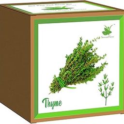 Sow and Grow DIY Gardening Kit of Thyme for Home and Garden Grow it Yourself Kit || Suitable for 15-25 Degrees temperatures || Best Eco Friendly Kids Birthday Return Gift-image-41