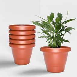 YUCCABE ITALIA SHERA SD 12 INCH Pack of 6 Pcs Plastic Flower Pot Unbreakable Round Shape Planter Plastic Gamle for Garden Seedling Indoor and Outdoor (Terracotta)-image-36