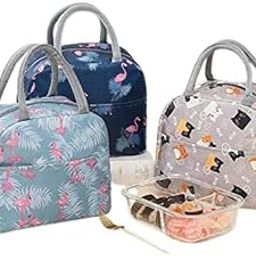 Youth Enterprises Pack of 1 Lunch Bag Insulated Canvas Tote Travel Tiffin Bag Thermal-image-68