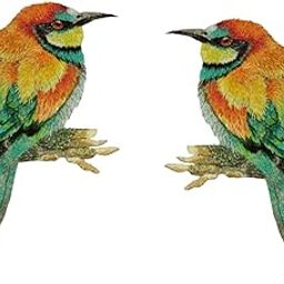 Multy Color Bird 4 inch Embroidery sew Patch (2020) SEW Patch 2 pees-image-99