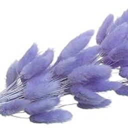 ARTISOUL® 60X Bunny Tails Dried Flower Floral Decor for Farmhouse Bedroom Table | Home Decor | Floral Decor-image-15
