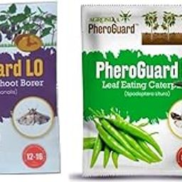 LO Leucinodes Orbonalis Lure | Brinjal Fruit & Shoot Borer Control | Pack of 10 | & | SL Combo Pack Pheromone Lure for Leaf Eating Caterpillar, Funnel Trap, Pack of 10-image-32