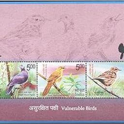 India 2017 Vulnerable Birds - Miniature Sheet (MS) of 3 Postage Stamps Mint Unhinged Multicolor-picture-10