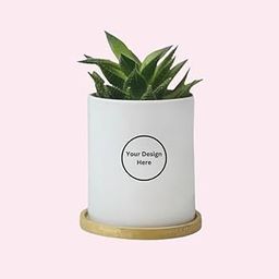 Introducing The Customizable Sneh Profile Ceramic Plant Pot, Ideal for showcasing Your Logo, Text, or Images.-image-6