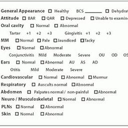 LabelValue.com | Veterinary Labels, Exam Checklist LV-VET3-image-48