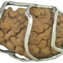 The Millennium Gallery Ek Mukhi Rudraksha Kaju Dana Original Certified Nepali One Face Brown Bead AAA+++ Quality 1 Mukhi Rudraksha With Silver Capp Blessed By Lord Shiva For Astrology-image-28