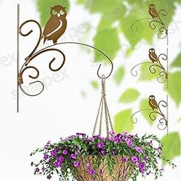 Sharpex Wall Mounted Metal Bracket | Decorative Wall Hook Plant Hanger for Hanging Pots, Bird Feeders, Flower Baskets, Planters, Lanterns, Lamps, and Wind Chimes for Indoor/Outdoor Use (Gold, 4 Pc)-picture-20