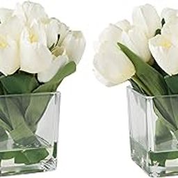 Craftfry Premium Centerpiece Designer Glass Square Cube Vase – Clear Glass Vase for Home Table Decor, Elegant Floral Displays, Set of 2 (4x4 Inches)-image-43