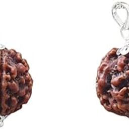 Rudrarise 4 Mukhi Nepali Rudraksha Original Certified by Lab Natural Chaar Mukhi Rudraksha Buy 1 Get 1 Free 4 मुखी ओरिजिनल रुद्राक्ष Chaturmukhi Rudraksha 4 Faced Ruthratcahm for Men & Women-39