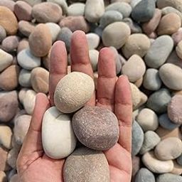 Bum Bum Bhole 10 kg River Pebbles Rocks for Garden, Landscaping, Aquarium and Home Decor (Mixed Sizes Including Small, Medium 1.5"-3" Size Pebbles) (10)-image-91