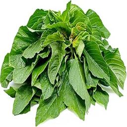 Fresh Amaranthus Green (Danthu Soppu), 250g Pack-image-91