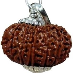 14 Mukhi Rudraksha Original Certified Nepali 24mm 14 Mukhi Rudraksha Nepali 14 मुखी रुद्राक्ष भगवान शिव और बजरंगबली Chaudha Mukhi Rudraksha 14 Face Rudraksha Original Nepal Natural Hanuman Rudraksha 14 Mukhi-picture-17