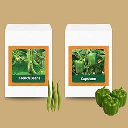 Valar Bush French Beans and Capsicum Seed | Open Pollinated Non-GMO Seeds | Home Gardening, Balcony Farming-picture-23