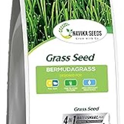 Navika Seeds ; Grow With Us, Original and Pure Bermuda Grass Perfect Grass Seeds For Making Lawn, Turf, Cricket ground, Park, Farm House, Stadium, Sports Fields & Gardening (100 Grm)-21
