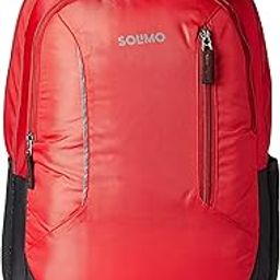 Polyester Laptop Backpack for 15.6-inch Laptops, 27L (Red)-image-42
