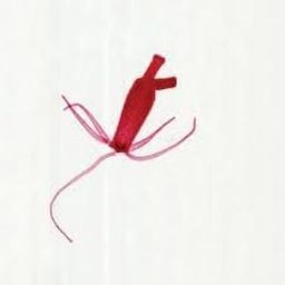 Microscope slides for school level-18