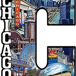 TC The Customizers Set of 1 Chicago Printed Fridge Magnet Set | Magnet for Fridge Decoration | Fridge Magnets Refrigerator Stylish Set Kitchen | Funny Fridge Magnets-image-24