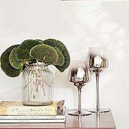 Coastal Habitat | 8 PCS Green Sponge Mushroom Dried Decor Decorative Items for Gifting, Home, Balcony, Living Room, Wedding, (Green)(Natural)(Without Vase)-image-2