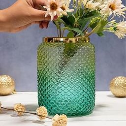 Praahi Lifestyle Decorative Glass Jar Vase for Flower Plants | Green Color |Pot for Modern Home Decor, Office and Living Room Centerpieces, Bedroom Table Top | Diwali Gift, Decorations Items-image-32