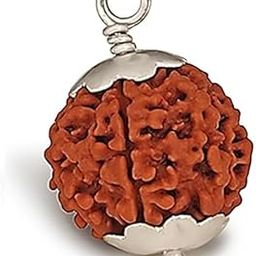 BluDiamond 6 Mukhi Nepali Rudraksha छह मुखी रुद्राक्ष Chheh Mukhi Rudraksha Certified 6 मुखी रुद्राक्ष Six Mukhi Rudraksha Oval Shape 6 Face Rudraksha Original Brown Six Mukhi Rudraksha For Pendant-picture-16
