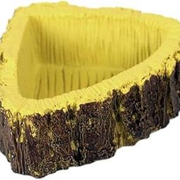 BNF® Reptile Feeding Bowl Food Water Resin Dish Pet Vivarium Tortoise Gecko #14|Pet Supplies | Reptile Supplies| 1x Reptile Resin Feeding Bowl-image-72