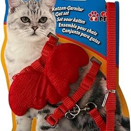 H&W's Cat's Soft Wing Harness with Leash, Escape Proof, Ultra-Light Weight, Aesthetic Design Comfort Fit for Pet Kitten Puppy Rabbit Small Dog (Red)-image-5