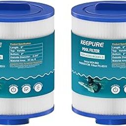 PAS50SV-F2M SPA Cartridge Replacement for Unicel 6CH-502, Filbur FC-0311, XLS-604, AR50, AK-90161, Artesian Spas 06-0006-12, 06-0005-12, Premium Material, 50 Sq.ft, 2Pack-12