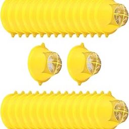 Enakshi (LABEL) Creations 30 Pieces ABS Paint Filter Strainer Funnel Filter Paint,For Food ResidueEbay Motors|Automotive Tools & Supplies| Auto Tools & Supplies-5