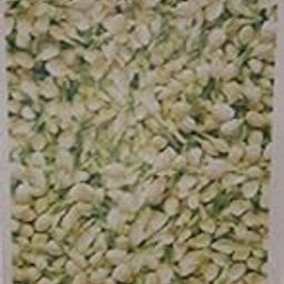 Unisex Aco Al-Full Jasmine Fabric Perfume Spray - 60Ml-image-12