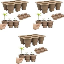 HASTHIP Silicone Seedling Germination Tray Seed Starter for Home Gardening Microgreen Growing with 6 Cell Reusable Greenhouse for Plant Seeds Propagation 3 PCS-2