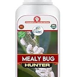 Erwon® Mealy Bug Hunter, Premium Essential Organic Powerful Liquid Spray for Removing Mealy Bugs from Plants. (100 ml)-image-20