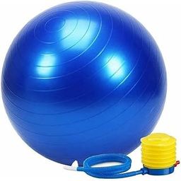 RAIYARAJ Exercise Gym Ball with Free Foot Pump Anti-Burst Design Slip Resistant Yoga Ball Chair for Balance Stability Core Training Workouts at Home Or Gym for Men and Women-image-66
