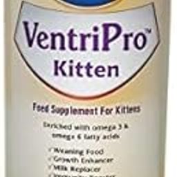 Fifozone Feed Supplement Mother Milk Replacement for Young Kittens 200GM-image-51