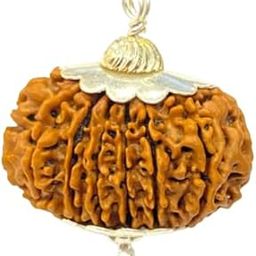 AAA++ Quality 18 Mukhi Rudraksha Original Certified Nepali Beads 18 मुखी रुद्राक्ष 18 Face Rudrakshas Athrah Mukhi Rudraksha Eighteen Face Rudraksh Pendant For Wearing Purpose-picture-41