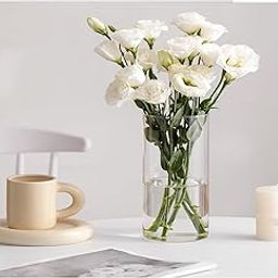 SPHINX Cylinder Shape Decorative Glass Vase for Flowers Live Plants Bamboo Money Plants Home Table Decor,Centerpiece, Vases for Home Decor,Gift - (Height - 6 Inches/15 cms, 1 Piece)-image-7