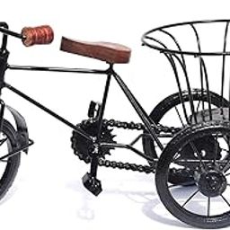 Iron and Wooden Cycle Rickshaw for Flower, Home Decor and Showpiece-image-98
