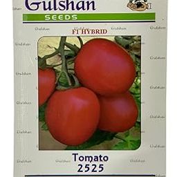 F1 Hybrid Tomato Seeds | Hybrid, High Germination Round Tamatar Seeds for Home, Kitchen Gardens, Pots, Patio & Terrace – Ideal for Fresh, Healthy Harvests-image-52