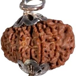 SreeGems 12 Mukhi Rudraksha Original Certifed Barah Mukhi Rudraksha with Silver Capping 12 Face Rudraksh Blessed by Lord Aditya (Sun) 12 Mukhi Rudrakshaa Nepali Pendant for Men Women-picture-6