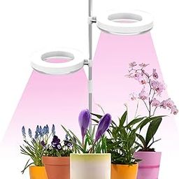 Indoor Small Plant Light Full Spectrum LED Plant Light Desktop Mini Plant Light Height Adjustable Plant Light with IPL & Sunlight in Single & Lamp Holder-image-67