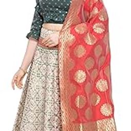 Women'S Silk Blend Lehenga Choli (Multi-Rivaaz_Multicolour_Free Size), Semi-stitched-picture-19