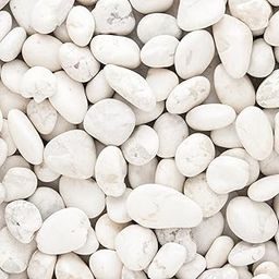 TrustBasket White Pebble Decorative Stones Marble Rock [1 Kg] [2.5cm - 4cm] for Aquarium Garden Indoor & Outdoor Decoration Pebble Stone White-8