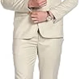 arvind Men Regular Fit Formal Suit-picture-6
