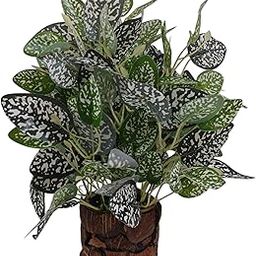 BAARIG Artificial Watermelon Peperomia Plant in Bark Container, Realistic Faux Tropical Leaves (Green White)-image-1