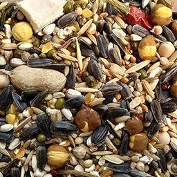 GLOBAL GREEN - Bird Seed Special Mix (5+5 KG Pack) for Cockatoo, Grey Parrot & Macaw, 100% Organic no Any preservatives, 15 Type of Seed Mix-picture-23