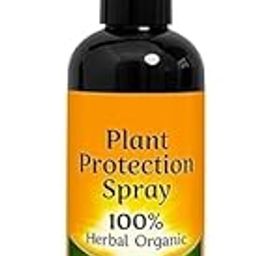 Organic Plant Protection Spray – 200ml Natural Pest & Fungus Control | Safe for Indoor & Outdoor Plants | Non-Toxic Insect & Disease Defense for Healthy Growth (1)-image-57