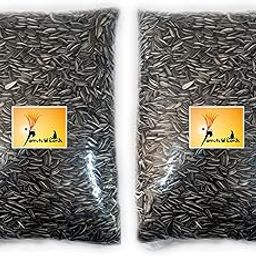 Parrots Wizard Bird Food Small Size Strip Sunflower Seeds 1800 Grams, 1 Count-12