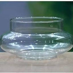 Urban Moon Glass Flower Vase, 5 Layer Lucky Bamboo Glass Pot for Home & Office Decoration (Poori Shape Pot) - Pack of 1 Piece, 6 Inches-image-52
